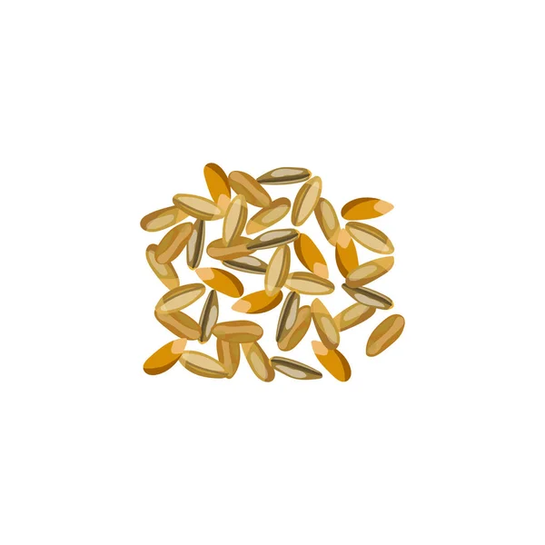 Centeno Cereales Diferentes Tipos Grano Ilustración Vectorial Eps — Vector de stock