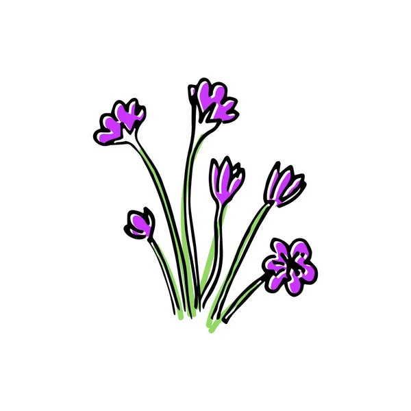 Ήρθε Άνοιξη Έγχρωμο Σκίτσο Σύνολο Λουλούδια Χαριτωμένο Λιλά Λουλούδια Snowdrops — Διανυσματικό Αρχείο