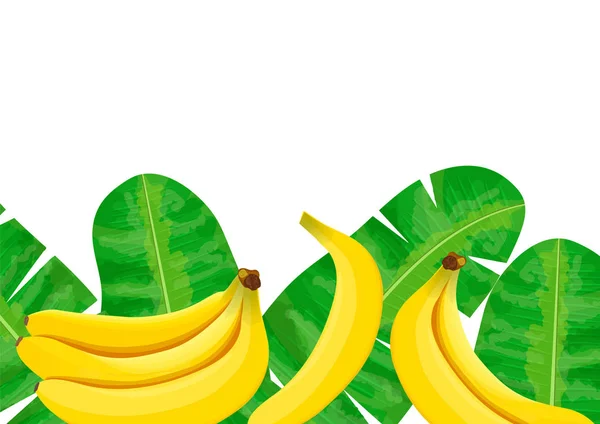 Bananas Folhas Palma Tropicais Selva Densa Ilustração Vetorial Com Motivo — Vetor de Stock