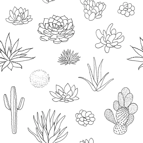 Modello Succulento Senza Cuciture Illustrazione Vettoriale Disegnata Mano Abbozzo Schizzo — Vettoriale Stock