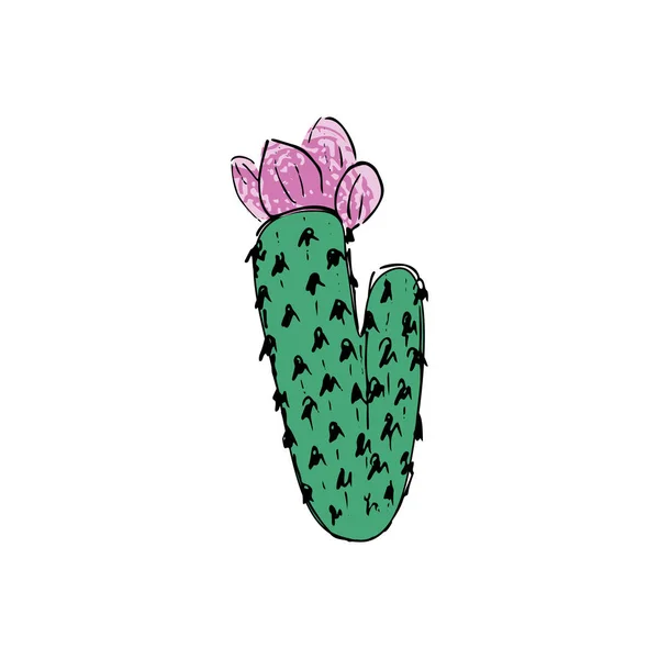 Farbiger Kaktus, handgezeichnete Vektorillustration. Umrissskizze. Sukkulente Sammlung. — Stockvektor