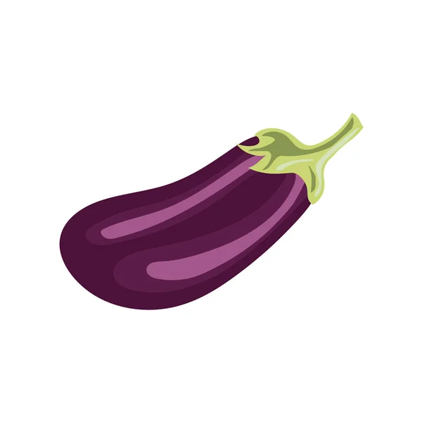 Aubergine Witte Vectorillustratie Geïsoleerd — Stockvector