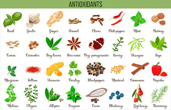 Sada Potravin Zdroje Přírodních Antioxidantů Neutralizovat Volné Radikály Byliny Koření — Stockový vektor