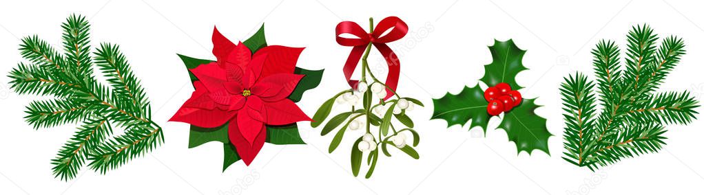 Set with Poincettia, Holly berry, Mistletoe with berries and red bow, fir branches. Colored vector illustration. Isolated. for posters, banners, invitations greeting cards prints, Christmas decortion