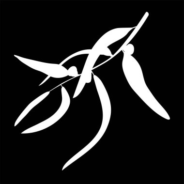 Okaliptüs dal ve yaprakları logo simge izole. beyaz siluet. Vektör çizim