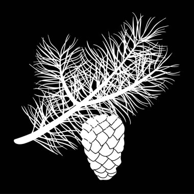 Çam ağacı dalı ve koni izole logo simge. beyaz siluet. Vektör çizim