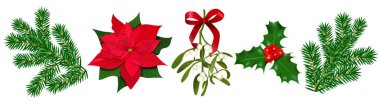 Atatürk çiçeği, Holly berry, çilek ve kırmızı yay, çam dalları ile Ökseotu ile ayarlayın. Renkli vektör çizim. İzole. Poster, afiş, davetiye tebrik kartları baskılar, Noel decortion için