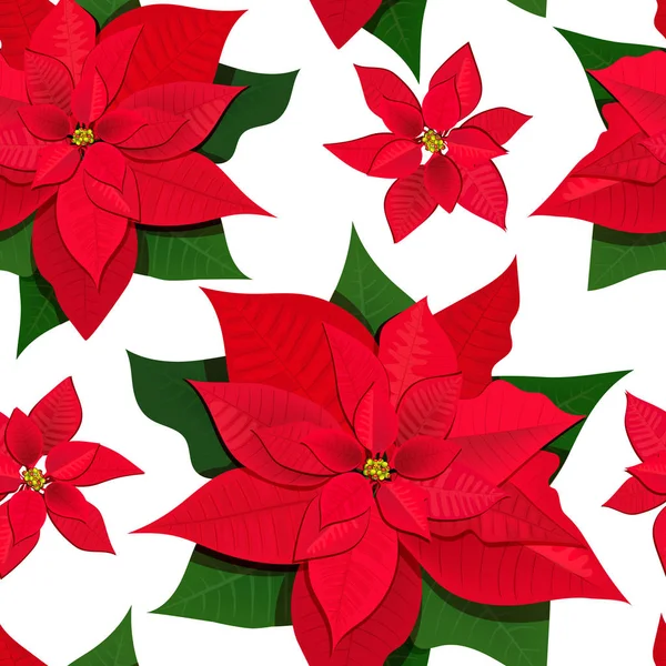 Bunga Poinsettia Warna Vektor Ilustrasi Pola Mulus Terisolasi Latar Belakang - Stok Vektor