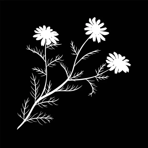 Marguerite Camomille Fleurs Sauvages Isolées Avec Tige Illustration Vectorielle Icône — Image vectorielle