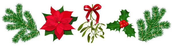 Atatürk çiçeği, Holly berry, çilek ve kırmızı yay, çam dalları ile Ökseotu ile ayarlayın. Renkli vektör çizim. İzole. Poster, afiş, davetiye tebrik kartları baskılar, Noel decortion için