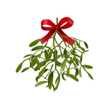 Ökse otu. Kabarık ökseotu dal çilek ve beyaz arka plan üzerinde Noel kartları ve dekoratif tasarım için izole kırmızı yay ile asılı vektör çizim.