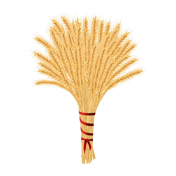 Un montón de trigo. Cosecha de espigas de grano. Gavilla de Navidad. Hoja de espigas. Spikes, Julkarve, Julenek, ilustración vectorial . — Vector de stock