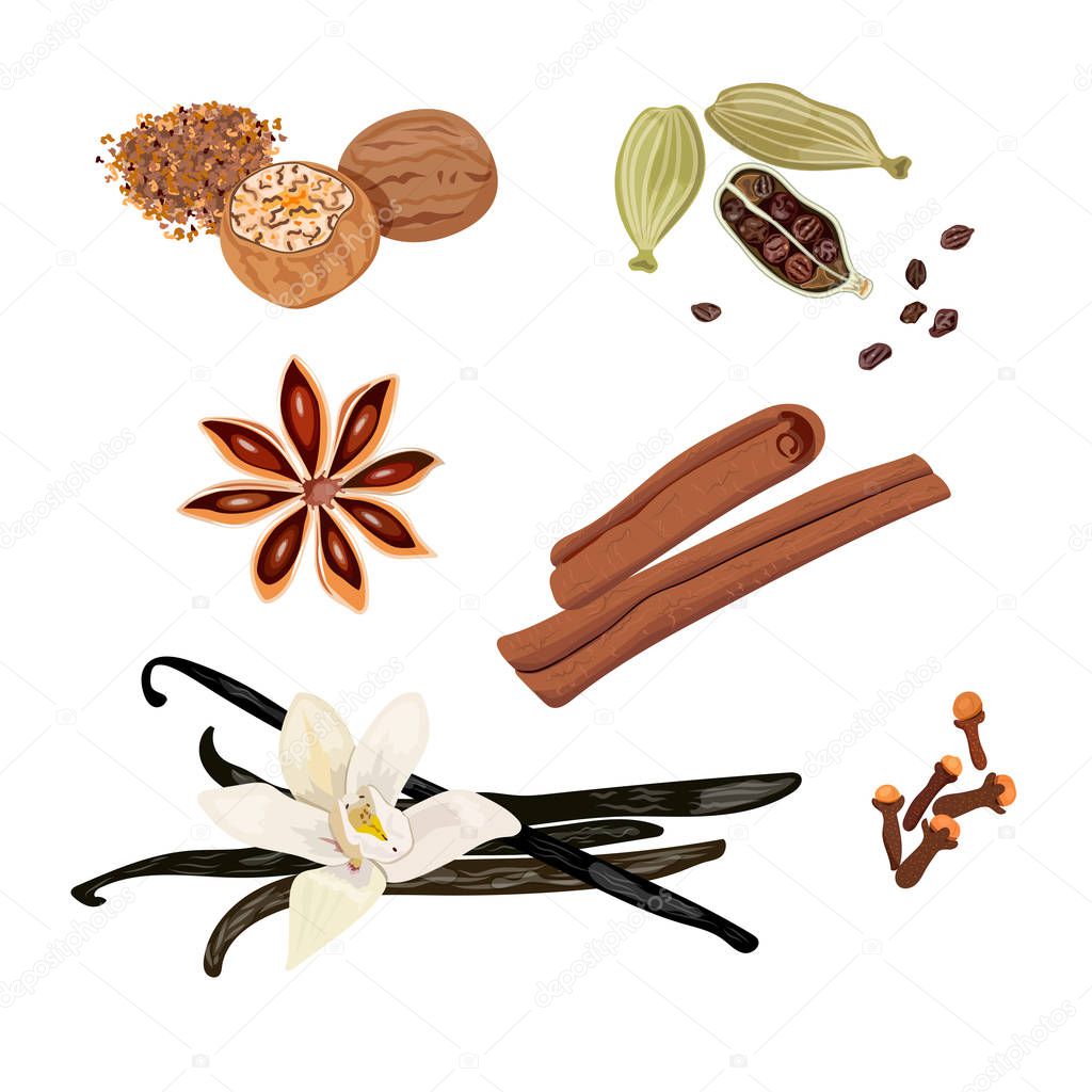 Set vector icons spices. Cardamom, star anise, nutmeg, vanilla flower and sticks, cloves, cinnamon. Vector Illustration.