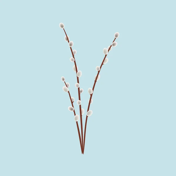 Аромат ивовых ветвей, весна. Озье, пальма, салли. Пасхальный праздник, пригласительный билет. Символ весны . — стоковый вектор