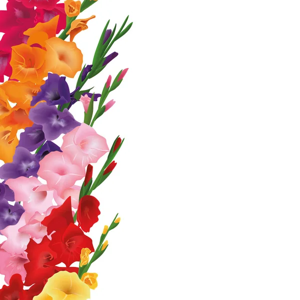 Carta dei gladioli. Copyspace, posto per il testo. fiori di giglio spada. Illustrazione della scheda vettoriale. giallo, rosso, rosa, viola, arancione — Vettoriale Stock