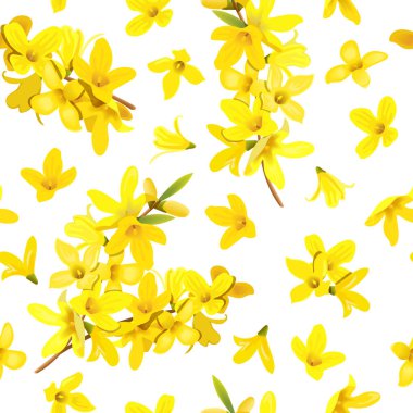 Altın Çan dikişsiz desen Forsythia gerilim, Paskalya ağacı, çiçek açan sarı çiçekler ile bahar dalı. Vektör çizimi.