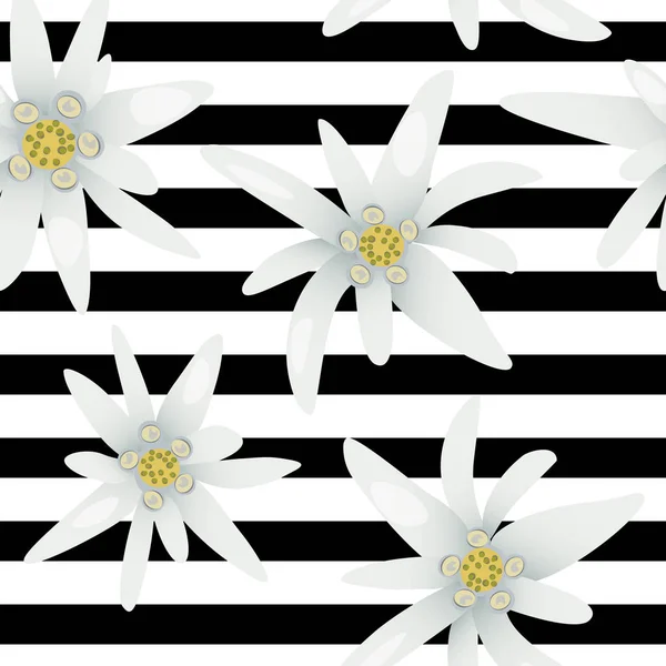 Listrado padrão sem costura com flores edelweiss. Bela neve. Ilustração vetorial. Estrela alpina. símbolo suíço . — Vetor de Stock