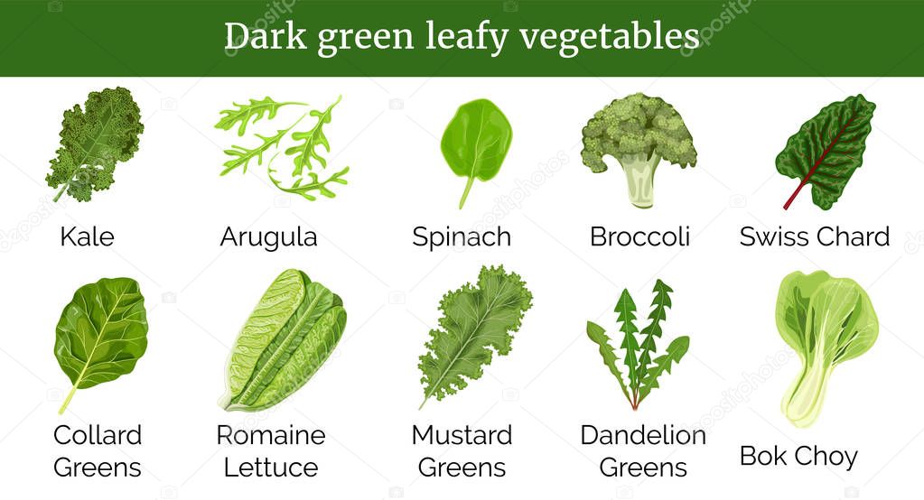Dark green leafy vegetables, herbs. Spinach, Dandelion green, broccoli, Mustard, Romaine Lettuce, kale, Collard.