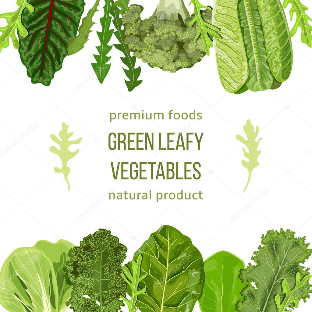 Popular Green leafy vegetables card template. Vegetable frame top and bottom. text, copy space. Spinach, Dandelion, broccoli,