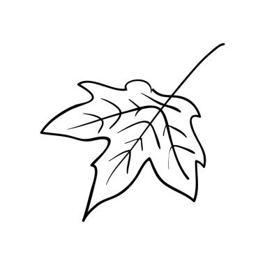 Sonbahar sarı akçaağaç yaprakları yağmur azıyorum, yakın çekim