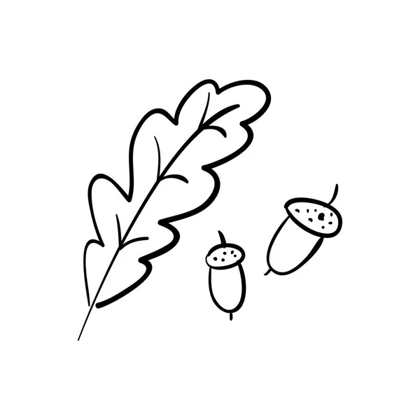 Chêne. Branche. glands isolés sur fond blanc — Image vectorielle