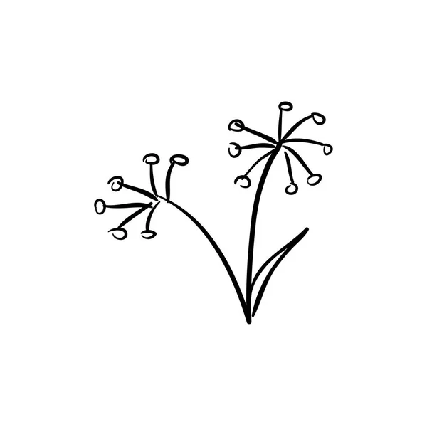 Bouquet de fenouil sauvage isolé sur fond blanc — Image vectorielle