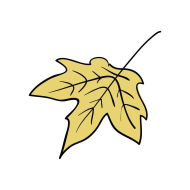 Sonbahar sarı akçaağaç yaprakları yağmur azıyorum, yakın çekim