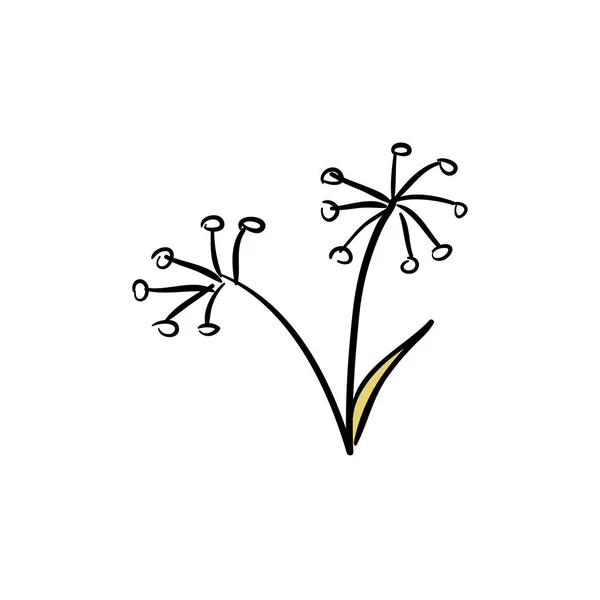 Bouquet de fenouil sauvage isolé sur fond blanc — Image vectorielle