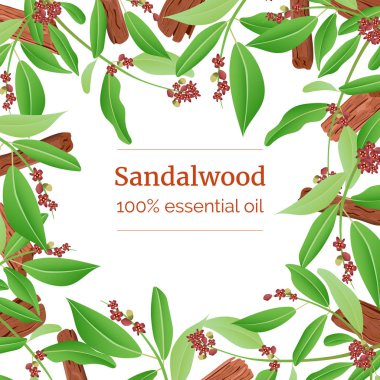 Sandalwood sticks and leaves card template with copy space. Card template. branch boxing clipart