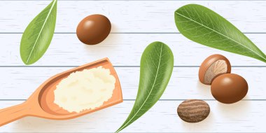 Shea fındık, Beyaz ahşap berbat masada yaprakları. Ahşap Kaşık üzerinde Shea tereyağı. Shi ağaç Kapsüller.
