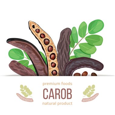 Olgun Carob etiketi. tatlı kapsüller ile şube, beyaz arka planda yaprakları. Vektör