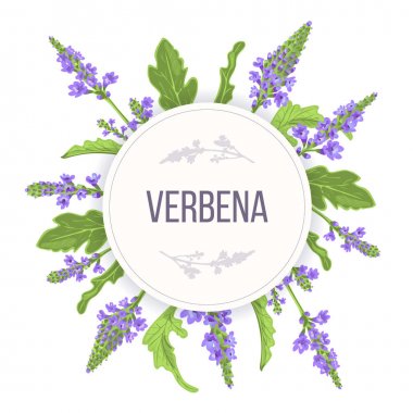 Verbena Round Circle badge. leaf branch, flowers and leaves. Vervain Herb template. for alternative medicine clipart
