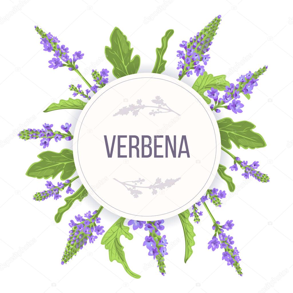 Verbena Round Circle badge. leaf branch, flowers and leaves. Vervain Herb template. for alternative medicine
