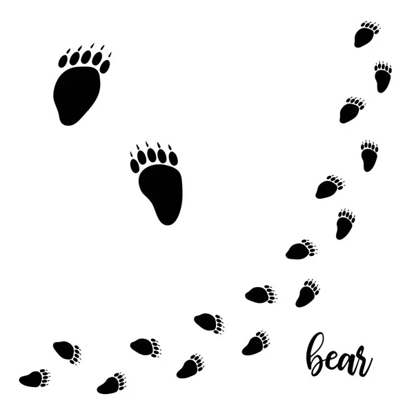 Bear paw vector foot trails. footprints of wild bear. diagonal tracks for t-shirts, backgrounds, — Stock Vector