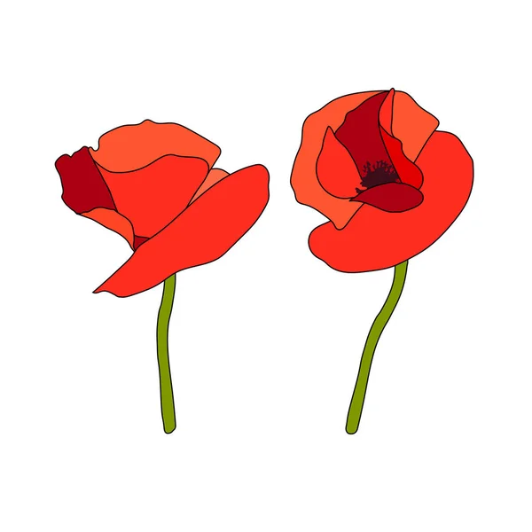 Two Poppy red flowers heads and stems. Anzac. Side view. Flat sketch style. Scarlett petals. Day of Remembrance. Vector illustration — Stock Vector