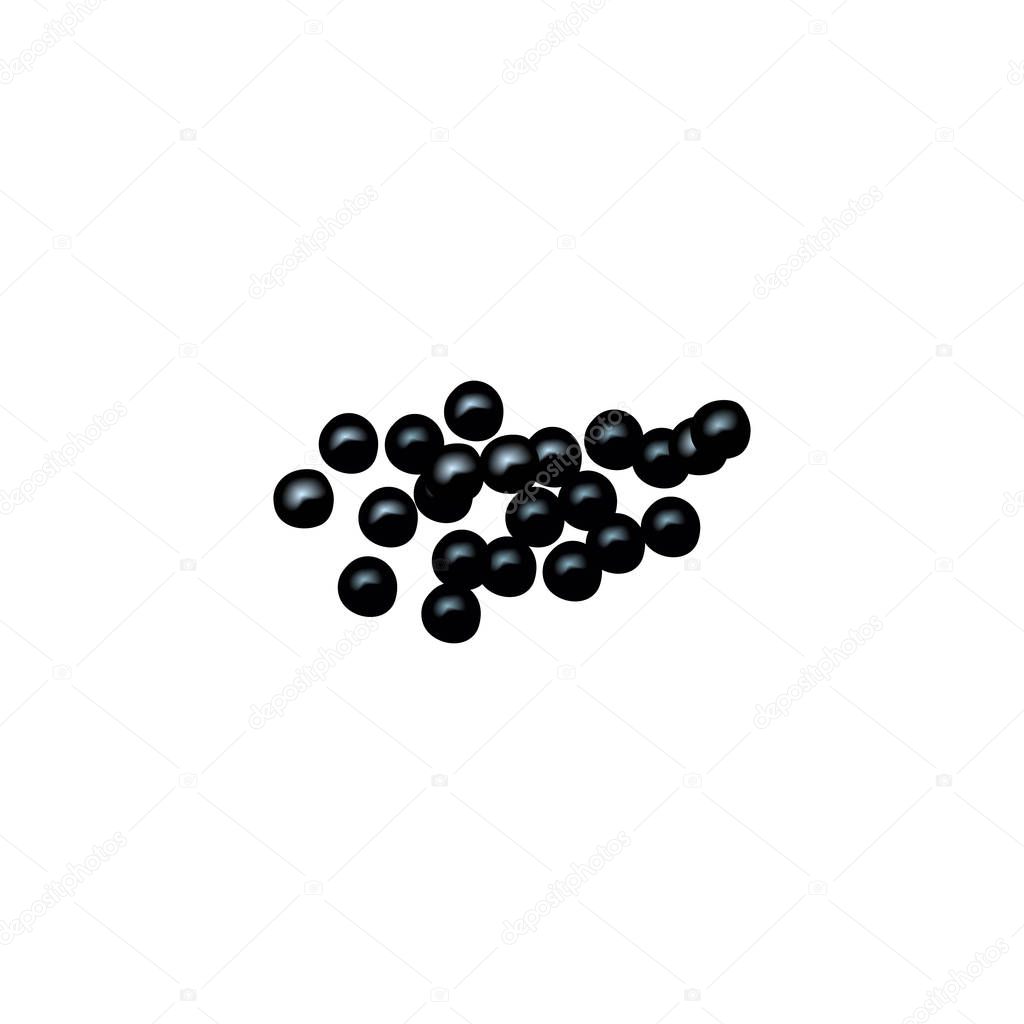 Isolated black berries. Black Caviar. black currant, elderberry, chokeberry. fruits isolated. Aronia Vector illustration.