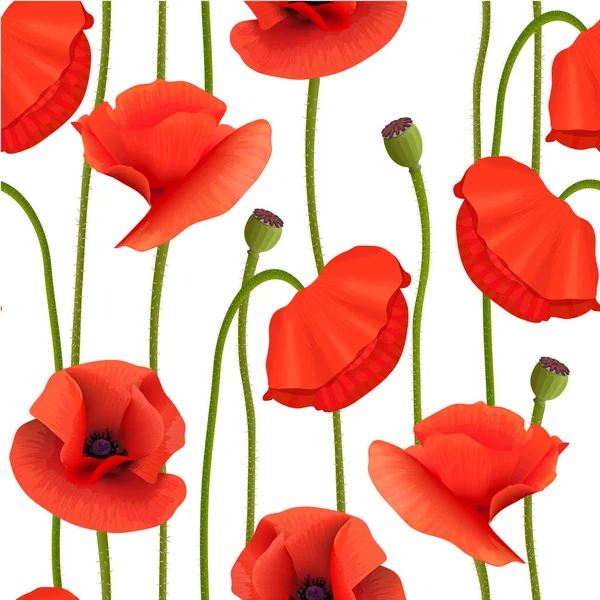 Bright red Poppies Seamless pattern. flowers, pods, Stems. Wallpaper picture. Remembrance Day. — Stock Vector
