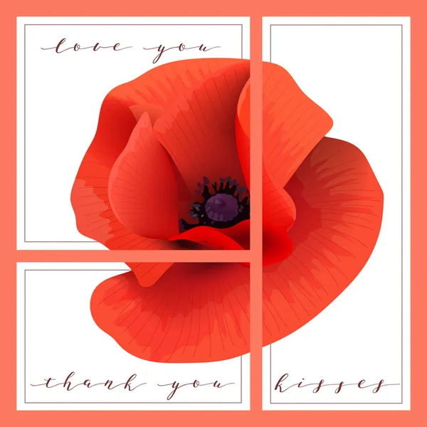 Bright red Poppy set of cards with words love you, thank you, kisses. Papaveroideae background. 3 in 1 poster, — Stock Vector