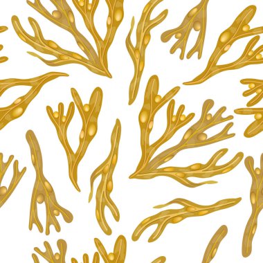 Fucus vesiculosus dikişsiz vektör deseni. Bladderwrack Yosun çerçeve.