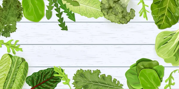 Темно-зелені листові овочі обрамляють на білому дерев'яному шезлонговому столі. Векторні ілюстрації. для прикраси, свіжі — стоковий вектор