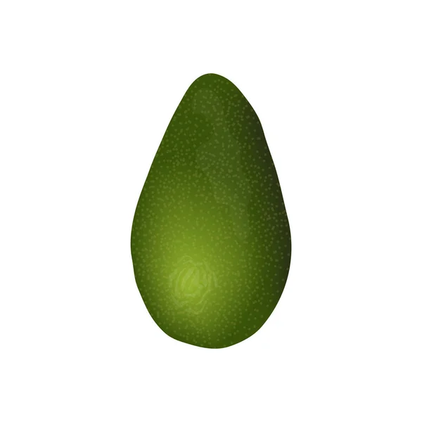 Avocado reife rohe Früchte. persea americana exotisch ganz. grüne Schale. saftig, isoliert auf weißem Hintergrund. Superfood, — Stockvektor