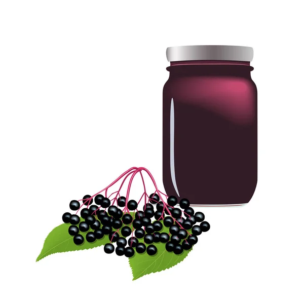 Vlierbes jam in pot, kan met siroop. Twig met bessen, bladeren. Sambucus. Zwarte Elder plant — Stockvector