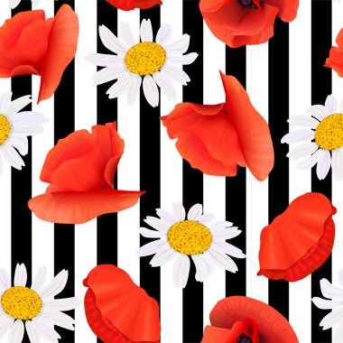 Haşhaş ve papatya çiçeklerçizgili siyah ve beyaz arka plan üzerinde Dikişsiz desen. Vektör illüstrasyon. Papaveroideae' ye. kartlar davetiye dekorasyon