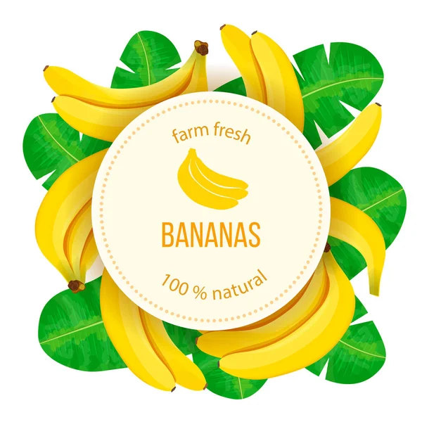 Bunch of Ripe bananas with leaves on white background. round badge. Side view. Copy space. — Stock Vector