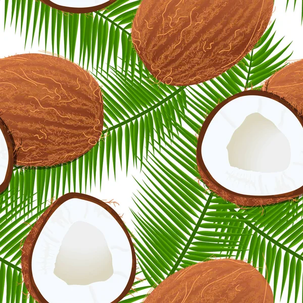 Noix de coco mûres entières et fissurées et feuilles de palmier Modèle sans couture. place pour le texte. modèle d'étiquette . — Image vectorielle