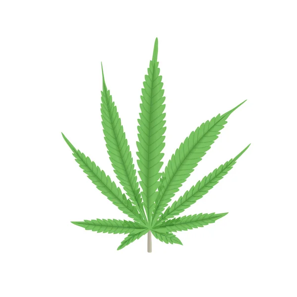 大麻绿叶病媒说明。大麻植物。药品、纺织品、服装、绳索、纤维、食品 — 图库矢量图片#
