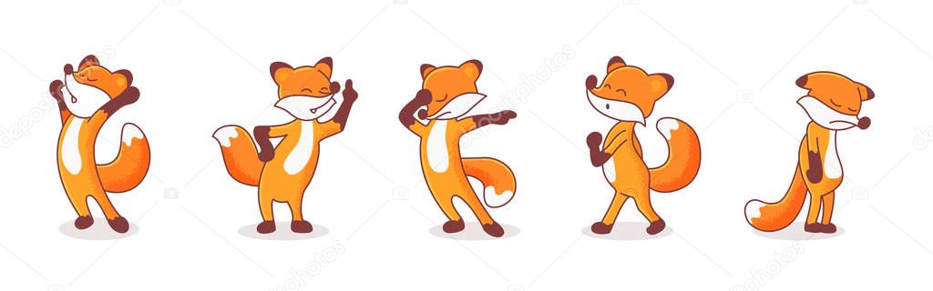 Set of five foxes.
