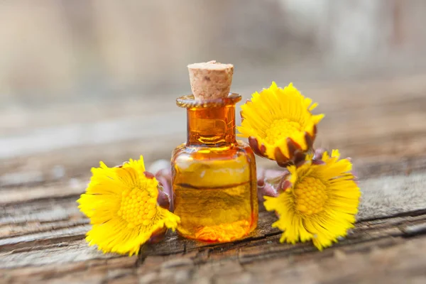 Aceite Esencial Pie Potro Una Hermosa Botella Sobre Mesa — Foto de Stock