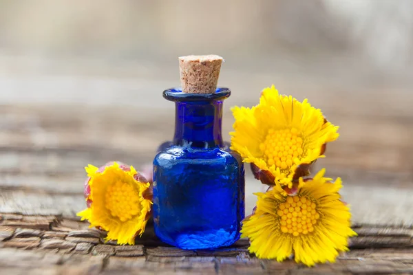 Aceite Esencial Pie Potro Una Hermosa Botella Sobre Mesa — Foto de Stock