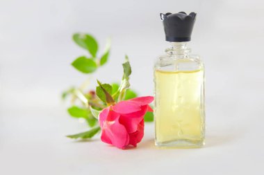 Çiçeklerin özü beyaz bir arka planda güzel bir cam kavanozda